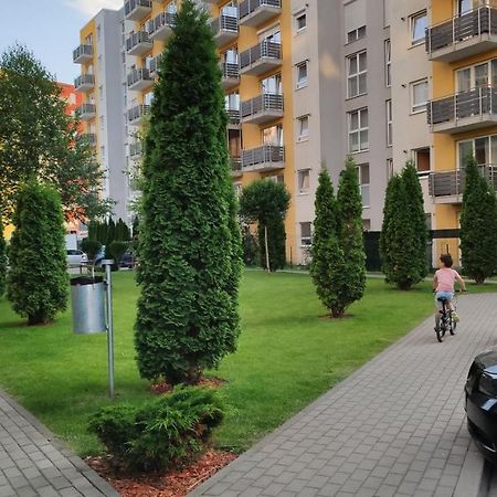 Brasov Kronstadt Garden Studio 外观 照片